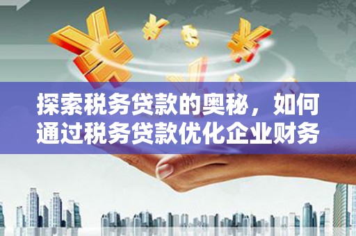 杂多探索税务贷款的奥秘，如何通过税务贷款优化企业财务