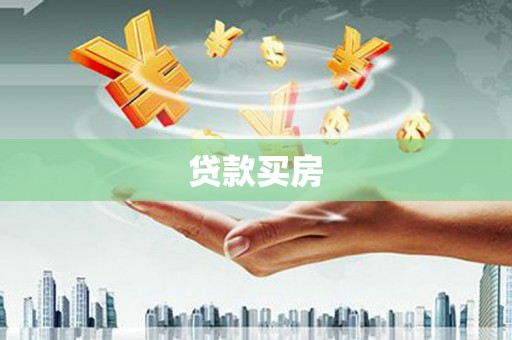 杂多贷款买房
