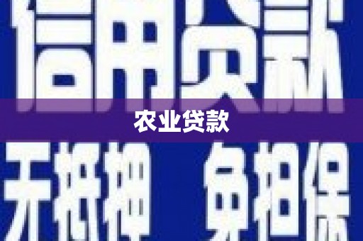 杂多农业贷款