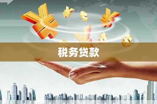 杂多税务贷款
