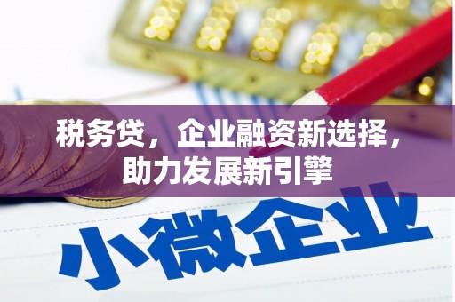 杂多税务贷，企业融资新选择，助力发展新引擎