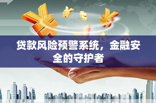 杂多贷款风险预警系统，金融安全的守护者