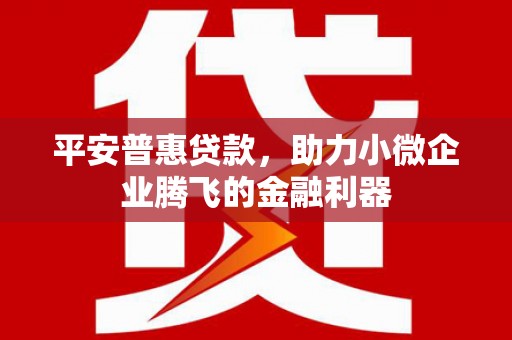 杂多平安普惠贷款，助力小微企业腾飞的金融利器