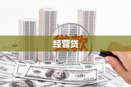 杂多经营贷