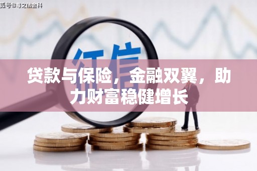 杂多贷款与保险，金融双翼，助力财富稳健增长
