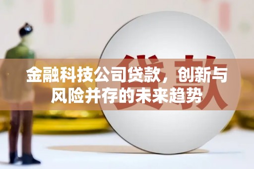 杂多金融科技公司贷款，创新与风险并存的未来趋势