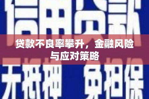 杂多贷款不良率攀升，金融风险与应对策略