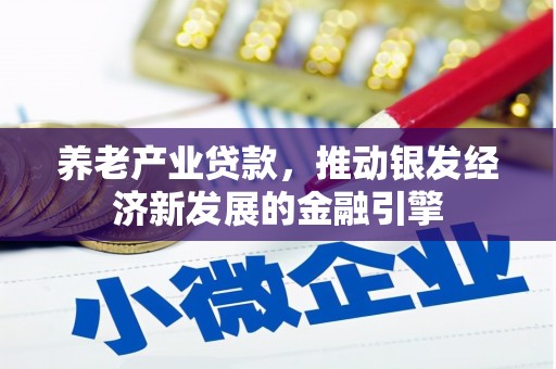 杂多养老产业贷款，推动银发经济新发展的金融引擎