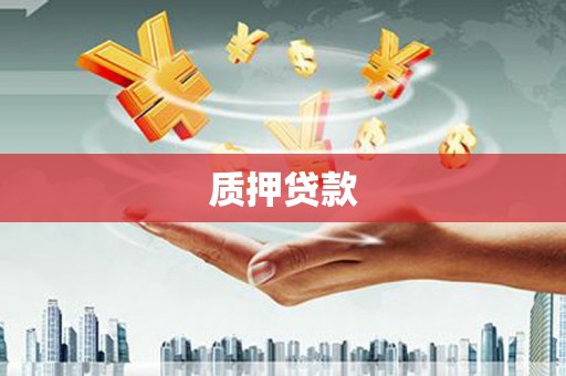 杂多质押贷款