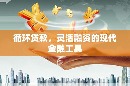 杂多循环贷款，灵活融资的现代金融工具
