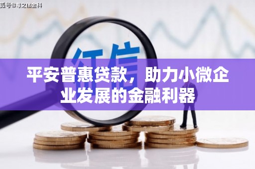 杂多平安普惠贷款，助力小微企业发展的金融利器