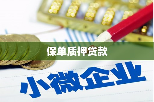 杂多保单质押贷款