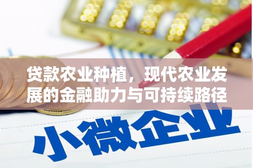 杂多贷款农业种植，现代农业发展的金融助力与可持续路径