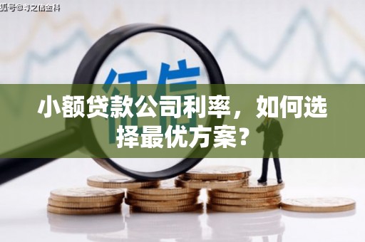 杂多小额贷款公司利率，如何选择最优方案？