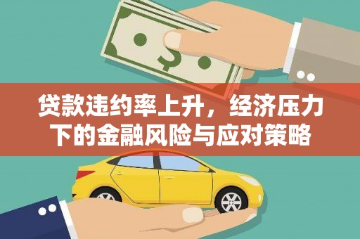 杂多贷款违约率上升，经济压力下的金融风险与应对策略