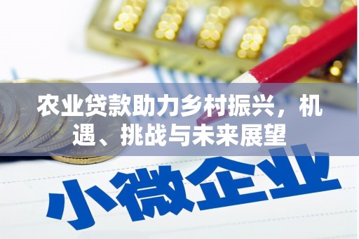 杂多农业贷款助力乡村振兴，机遇、挑战与未来展望