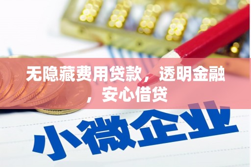 杂多无隐藏费用贷款，透明金融，安心借贷