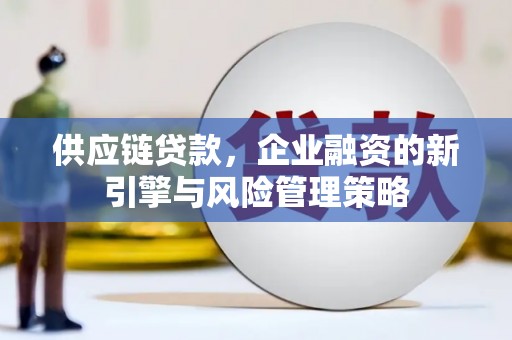 杂多供应链贷款，企业融资的新引擎与风险管理策略