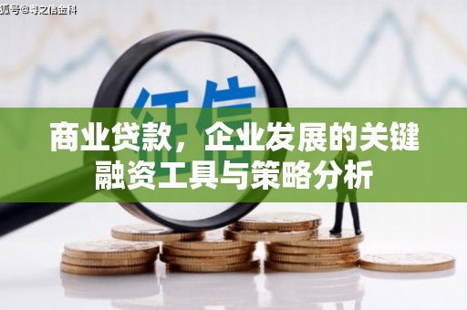 杂多商业贷款，企业发展的关键融资工具与策略分析