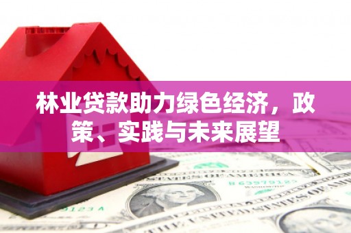 杂多林业贷款助力绿色经济，政策、实践与未来展望