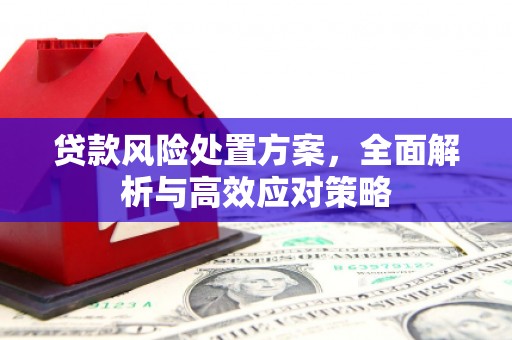 杂多贷款风险处置方案，全面解析与高效应对策略