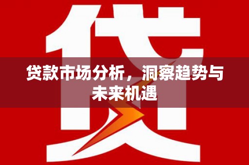 杂多贷款市场分析，洞察趋势与未来机遇