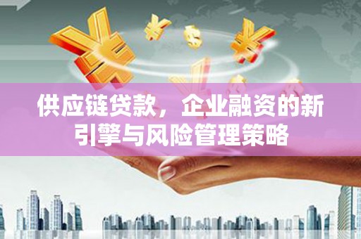 杂多供应链贷款，企业融资的新引擎与风险管理策略