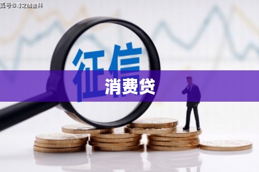 杂多消费贷