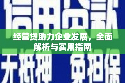 杂多经营贷助力企业发展，全面解析与实用指南
