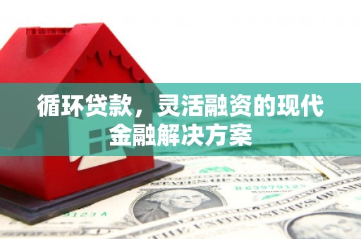 杂多循环贷款，灵活融资的现代金融解决方案
