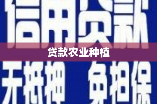 杂多贷款农业种植