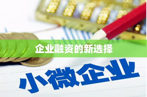 杂多企业融资的新选择