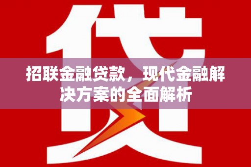 杂多招联金融贷款，现代金融解决方案的全面解析