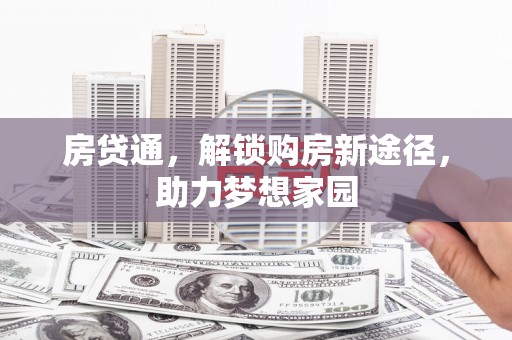 杂多房贷通，解锁购房新途径，助力梦想家园