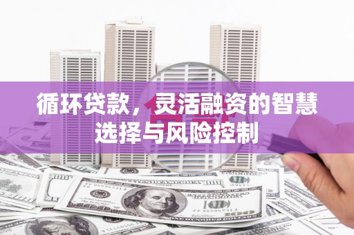 杂多循环贷款，灵活融资的智慧选择与风险控制