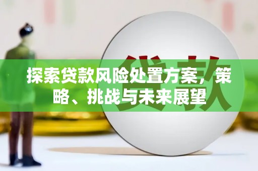 杂多探索贷款风险处置方案，策略、挑战与未来展望
