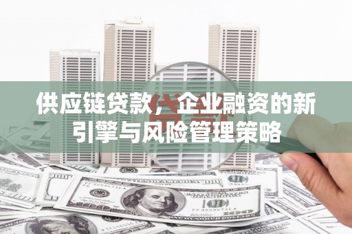 杂多供应链贷款，企业融资的新引擎与风险管理策略