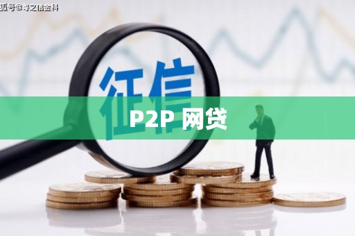 杂多P2P 网贷