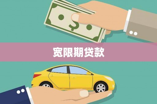 杂多宽限期贷款