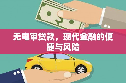 杂多无电审贷款，现代金融的便捷与风险