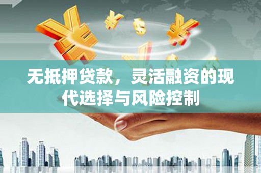 杂多无抵押贷款，灵活融资的现代选择与风险控制