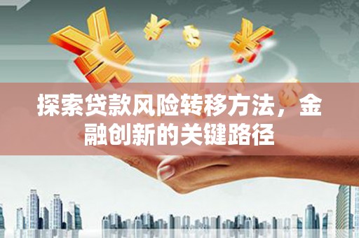 杂多探索贷款风险转移方法，金融创新的关键路径