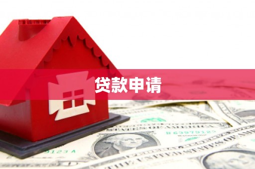杂多贷款申请