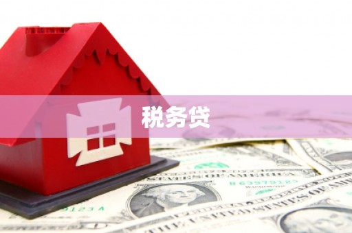 杂多税务贷