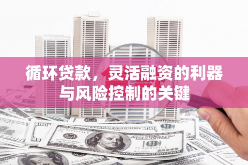 杂多循环贷款，灵活融资的利器与风险控制的关键