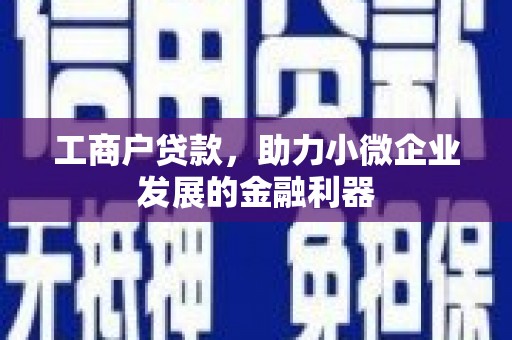 杂多工商户贷款，助力小微企业发展的金融利器