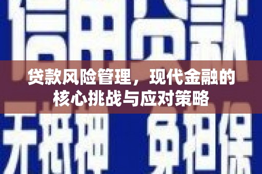 杂多贷款风险管理，现代金融的核心挑战与应对策略