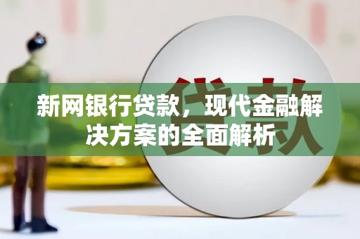 杂多新网银行贷款，现代金融解决方案的全面解析