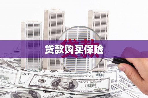 杂多贷款购买保险