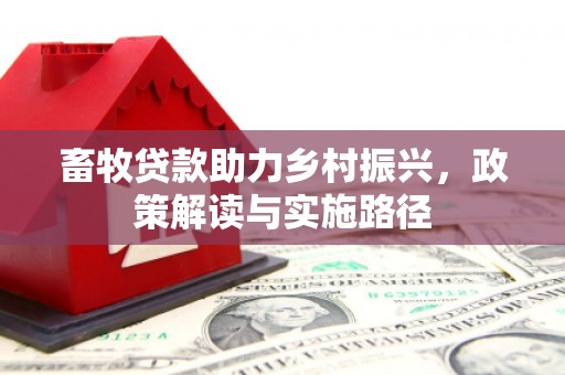 杂多畜牧贷款助力乡村振兴，政策解读与实施路径